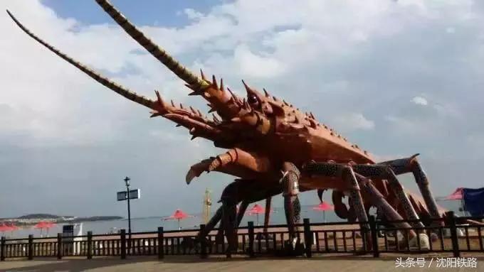 丹东大连鲅鱼圈自驾游,逛吃逛吃专列