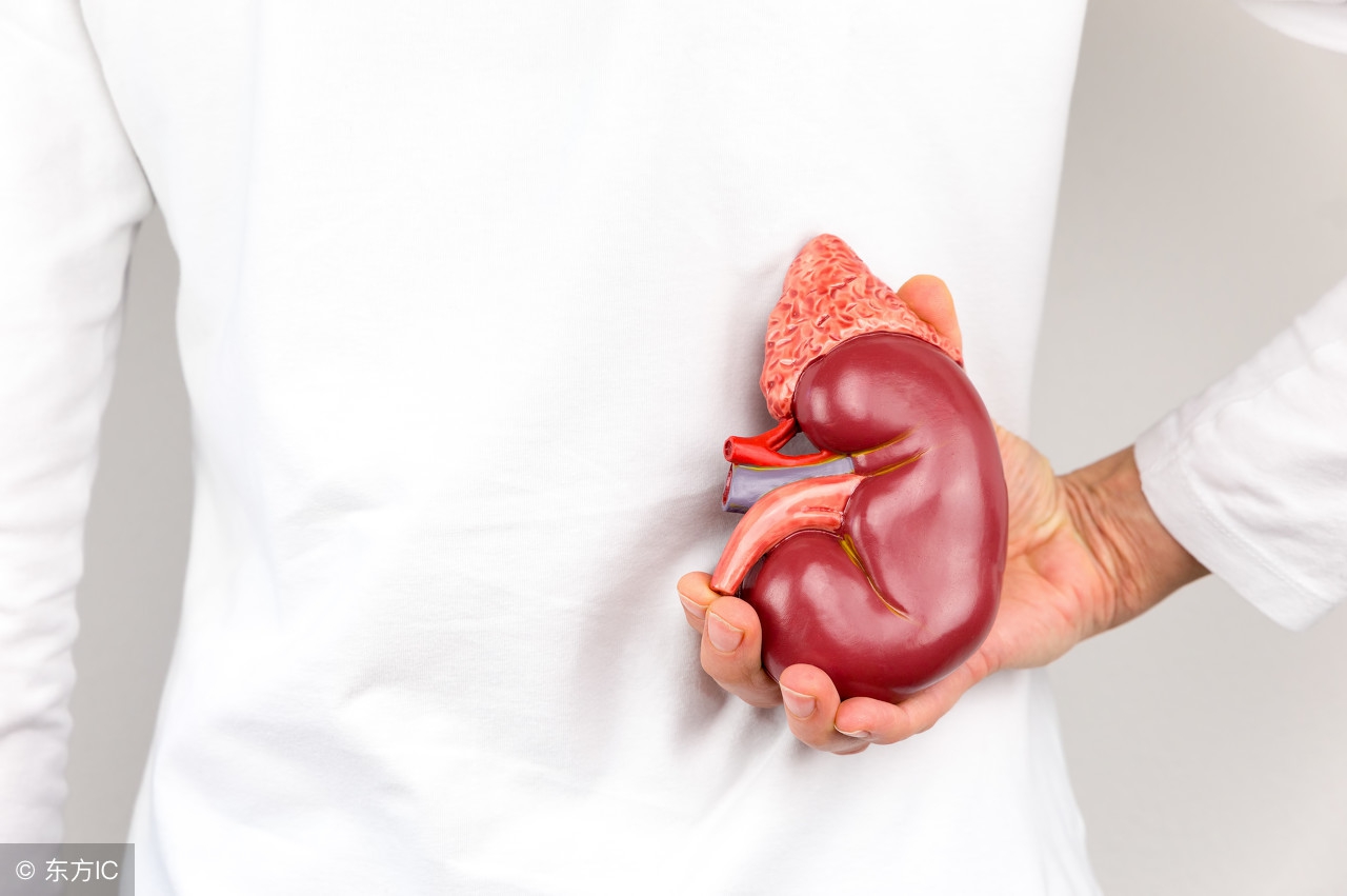 不同类型的肾结石,不同类型的肾结石怎么去治疗呢