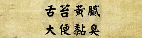 湿热体质怎么调理才会降下来,湿热体质中医如何调理