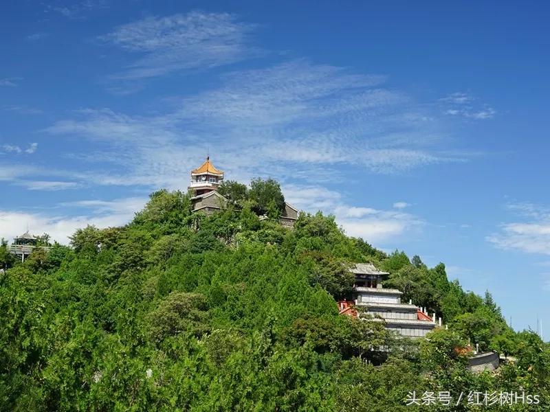 长假里，各大景点人满为患，这里怎么样呢？——森林氧吧