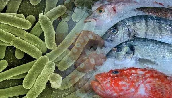 被海鲜扎手了要怎么处理,被煮熟的海鲜扎手有危险吗