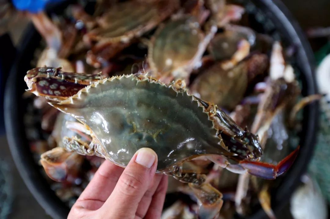 被海鲜扎手了要怎么处理,被煮熟的海鲜扎手有危险吗