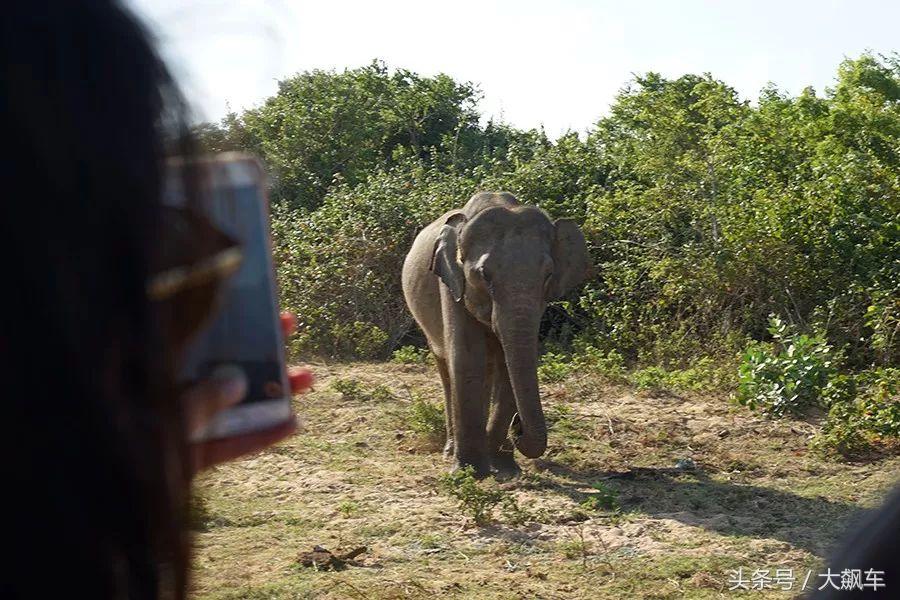 印象斯里兰卡全景,旅行记斯里兰卡
