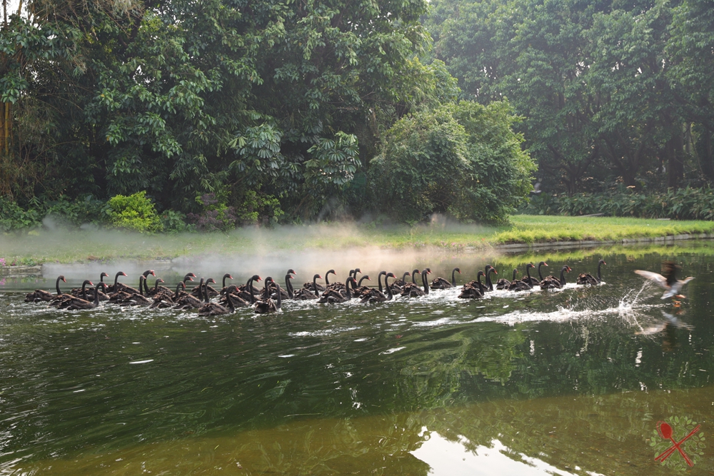 去广州长隆不住景区攻略,春节广州长隆不住园区怎么玩
