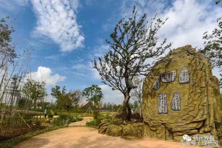 国庆扬州旅游景点推荐,扬州值得去看的景点推荐