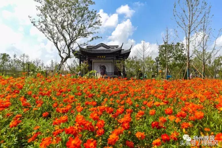 国庆扬州旅游景点推荐,扬州值得去看的景点推荐