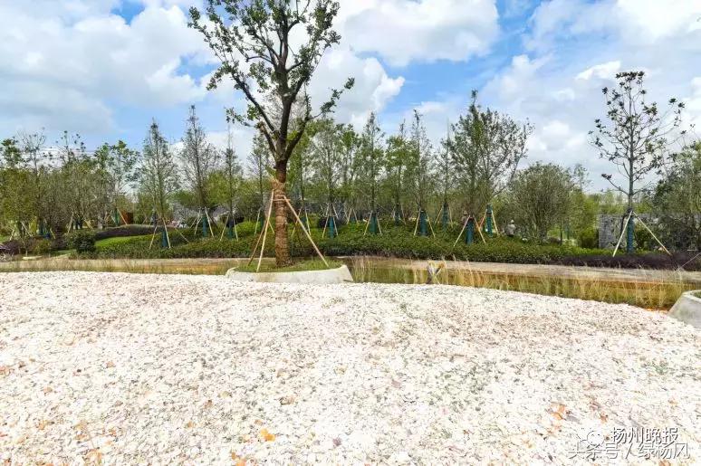 国庆扬州旅游景点推荐,扬州值得去看的景点推荐