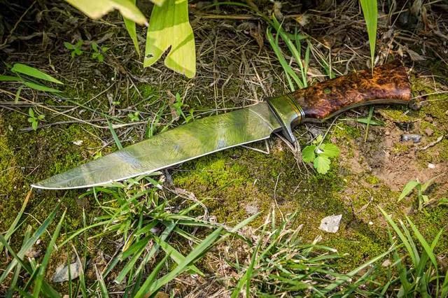 如果在丛林遭到猛虎袭击，给你5把*刀军**，你选哪个？