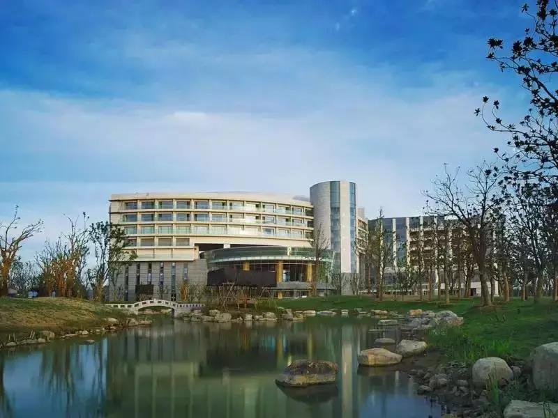 宠物友好五星级酒店,适合带宠物去的酒店