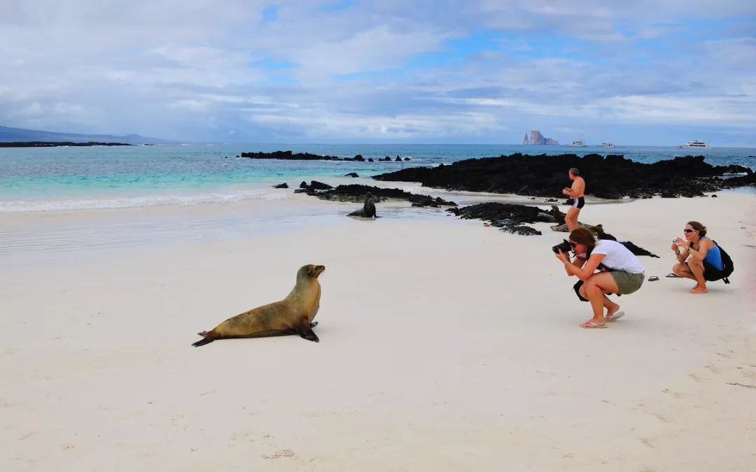 旅行达人排行榜100名,旅行推荐达人视频
