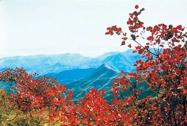 汉十高铁最新消息新闻,汉十城际高铁最新消息