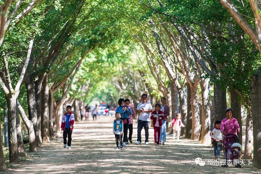 国庆假期去哪玩？邳州这6处景点少走一处都是遗憾！