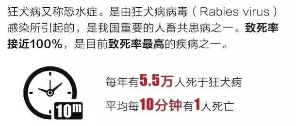 如果得了狂犬病一般会怎么发作,收养流浪狗不幸感染狂犬病怎么办