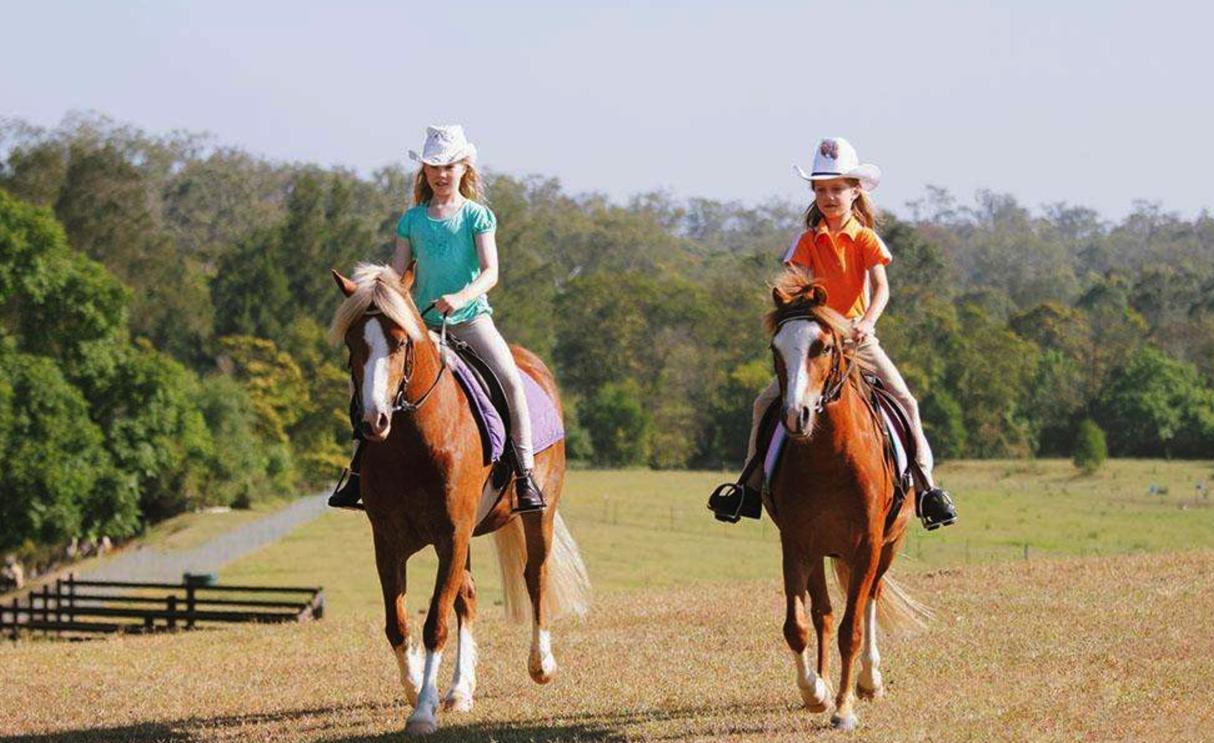 墨尔本与悉尼哪个城市好,澳洲悉尼最美城市