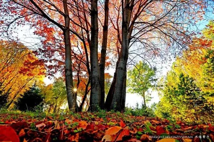 哈尔滨隐藏的景点伏尔加庄园,哈尔滨国庆节去哪里