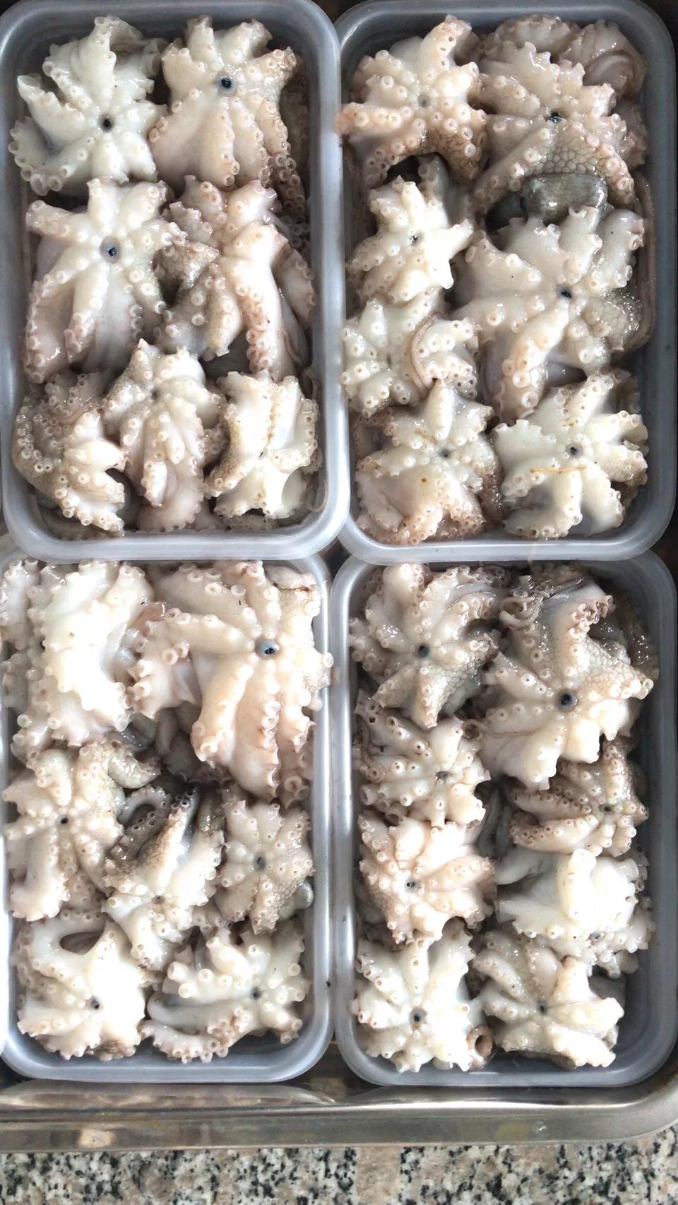 九节虾斑节虾,黑虎虾斑节虾九节虾哪个好吃