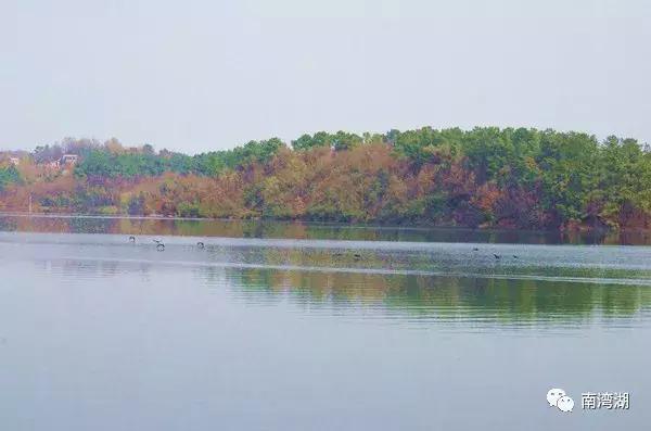 信阳十一自驾游推荐表南湾湖,十一假期旅游推荐信阳自驾游