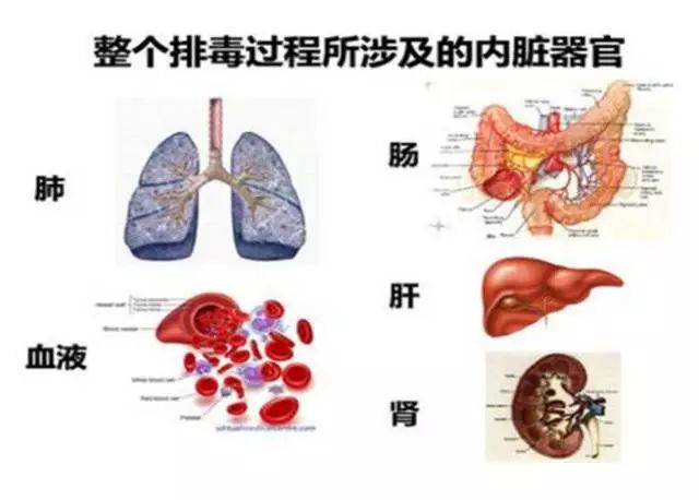 每天坚持5分钟清除毒素垃圾,脸部排毒最好方法