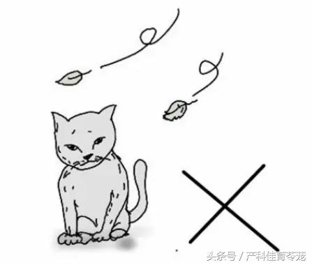 孕期感染弓形体,孕期接触狗狗一定会感染弓形虫吗