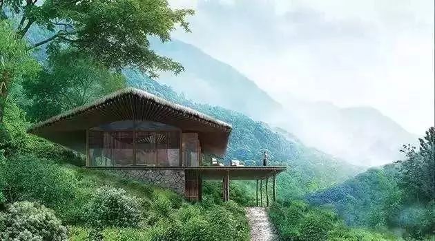 适合带着去旅行的宠物,宠物旅行攻略如何带宠物出门旅游