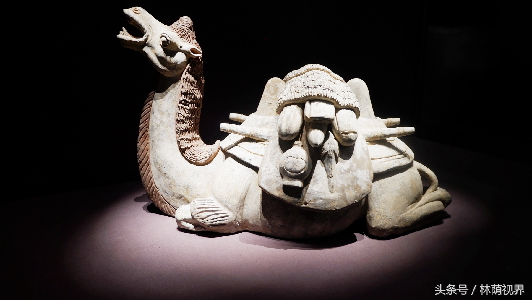 上海深度一日游,浦东金桥镇一日游