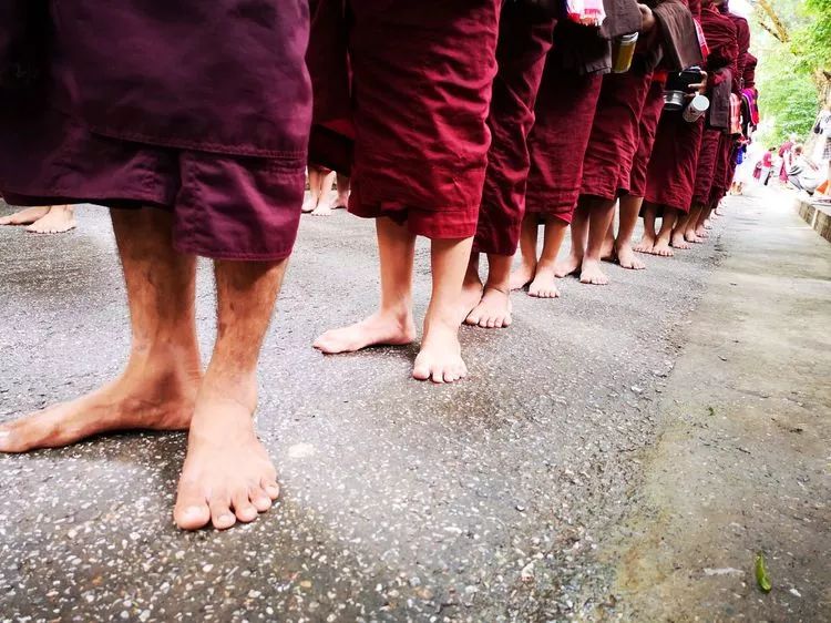 一个人的自由行西藏,一个人的泰国自由行