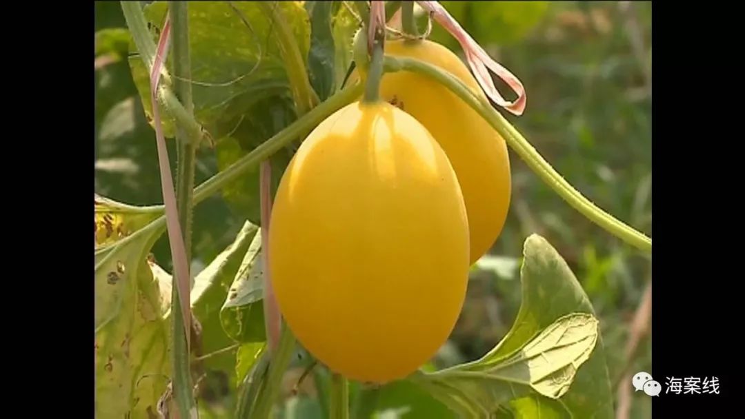 南宁风景最好哪个区,南宁一座风景如画的城市