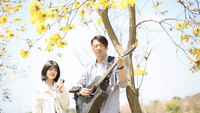 初学吉他最简单教学,初学吉他教学教程