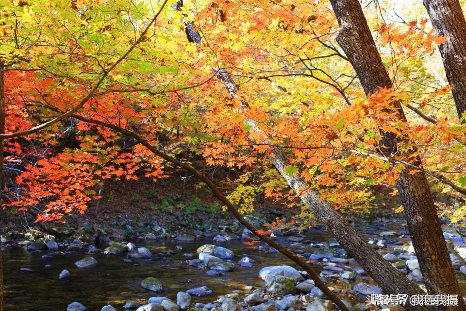 佳能ef35mm1.4l一代,置换佳能5d3