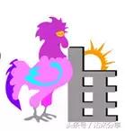 生肖配婚属相合和不合的区别,和马属相合婚最好的生肖