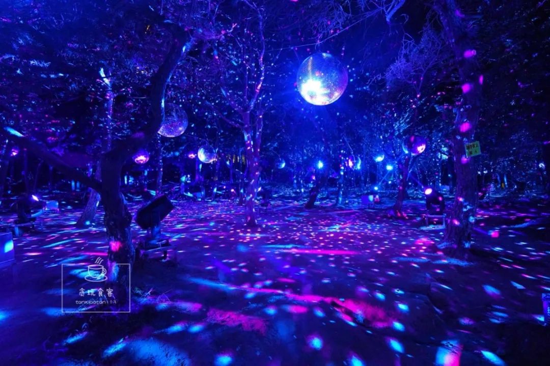 秦皇岛最值得去的旅游景点有哪些,秦皇岛值得玩的地方秋天