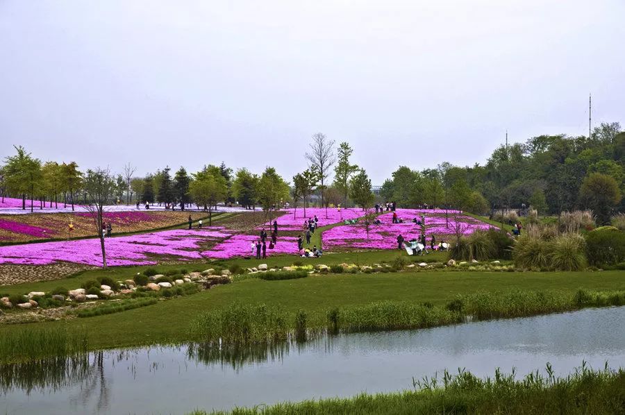 上海地铁的免费景点,上海地铁9号线沿线景点