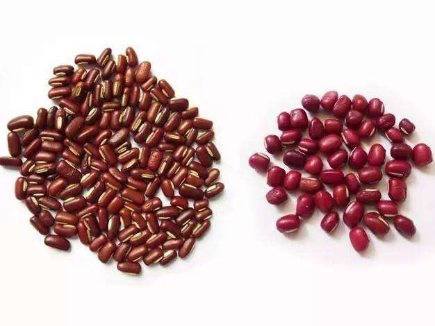 药材赤小豆,中药材赤小豆芽能治痤疮吗