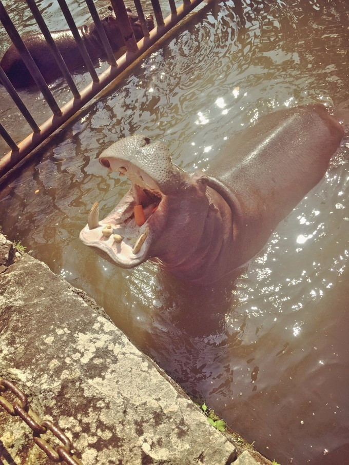 全家人三亚旅游,全家人游海南三亚旅行照片