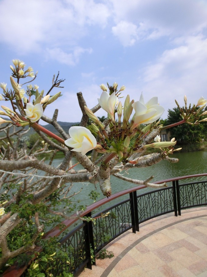 全家人三亚旅游,全家人游海南三亚旅行照片