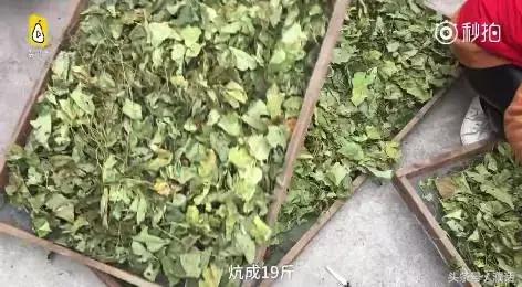 身价暴涨一倍,农村人身价暴涨