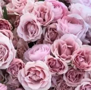 当男朋友和口红同时掉进水里,口红掉进水里了有用吗