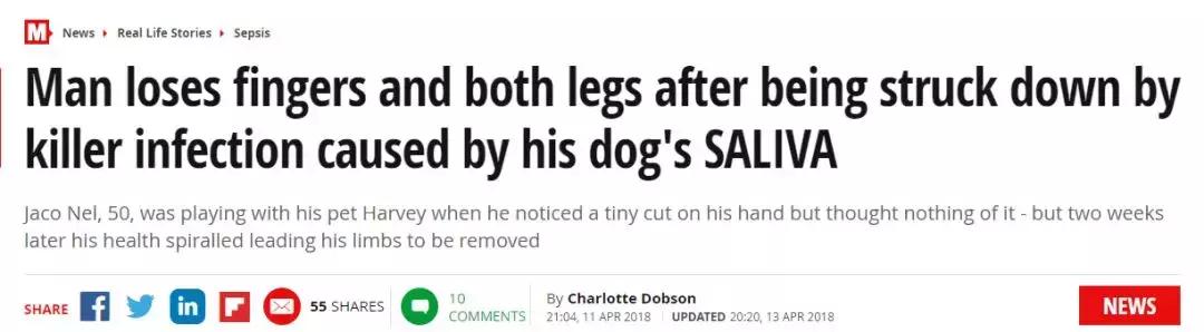 又一例！他严重感染四肢被截，竟只因被狗狗舔了一下……