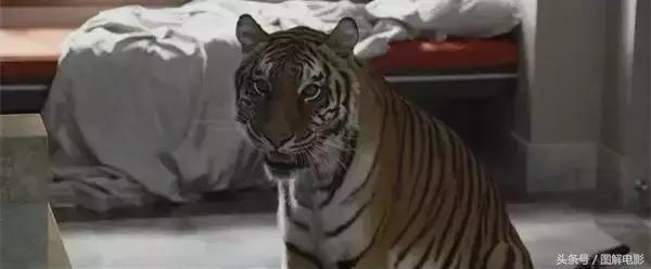 很贱的喜剧电影,贱贱的喜剧电影