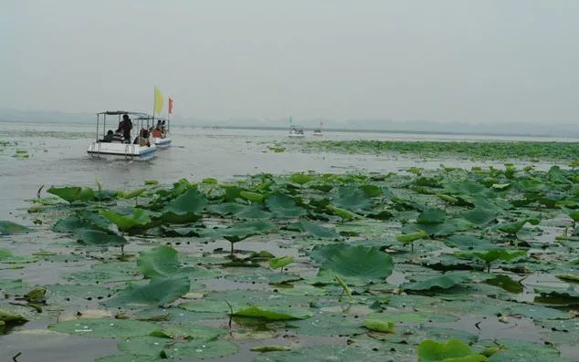 大局已定扭转乾坤,大局已定2020年中国梦实现