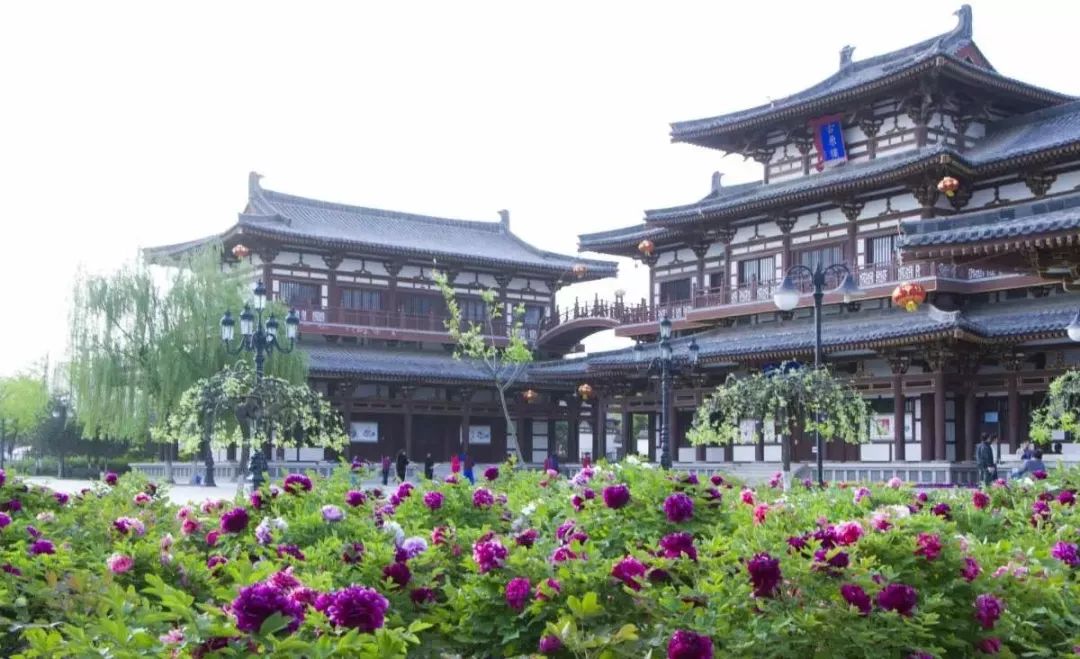 设计师去广州网红景点,西安必去十大网红景点图片