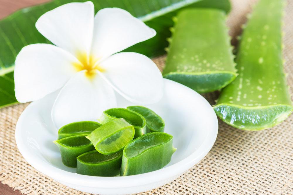 芦荟分可食用和不可食用吗,芦荟可食用好吃吗