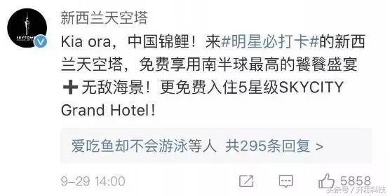 支付宝锦鲤活动营销目的,支付宝锦鲤营销成功的原因