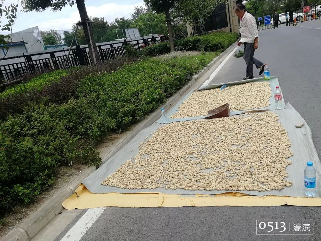 住在紫东的你快乐吗？