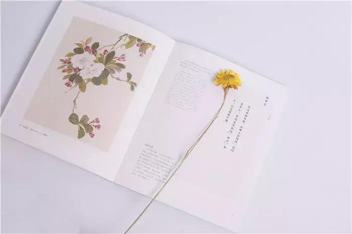 一生必背100首经典诗词,中国诗词史上的100首经典诗词