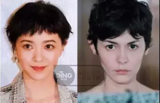 明星踩雷区完整版,明星节目踩雷