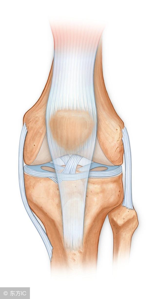 常见的十大膝关节疼痛,老年患者膝关节疾病健康科普