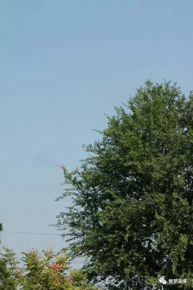 张店青龙山公园,淄博张店青龙山公园风光