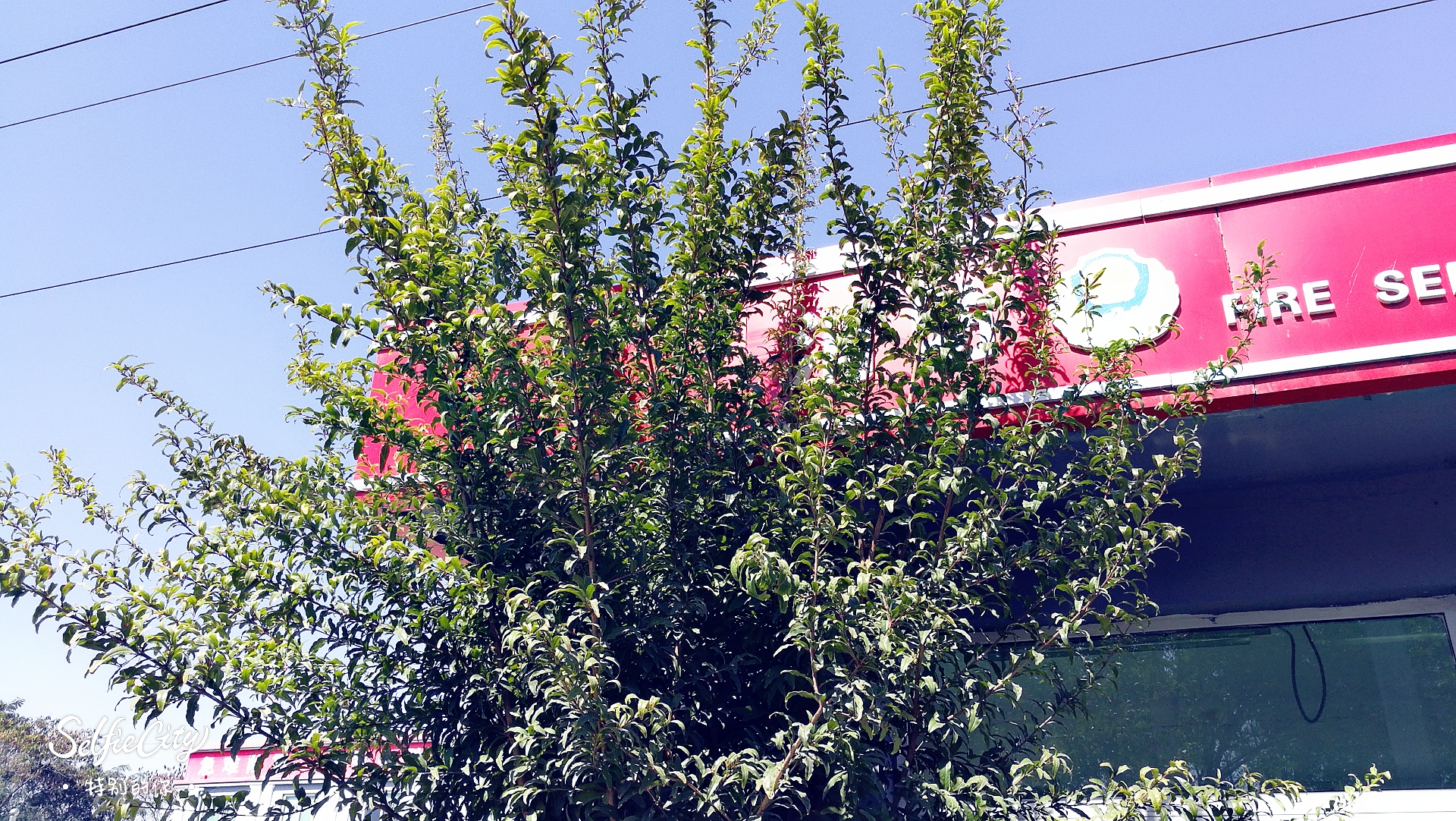 第一次为足球流泪,第一次为和自己无关的人流泪