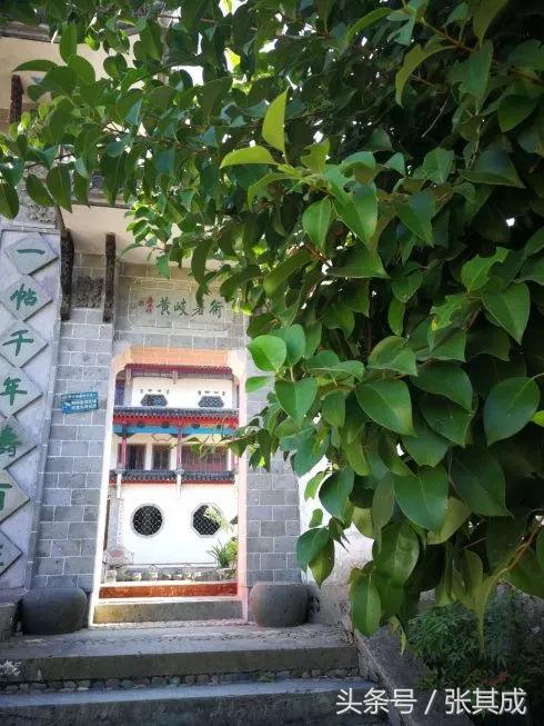 歙县中医馆,歙县国医馆